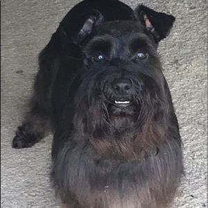 Meet your Posher, Carol